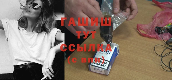 хмурый Аркадак