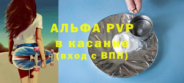 хмурый Аркадак