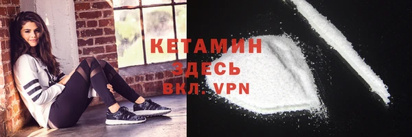 хмурый Аркадак
