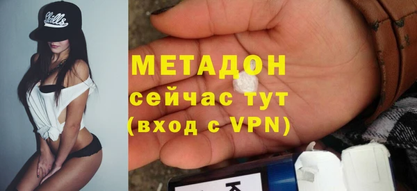 хмурый Аркадак