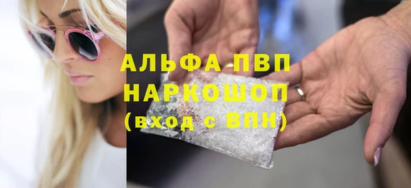 хмурый Аркадак