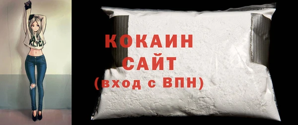 хмурый Аркадак