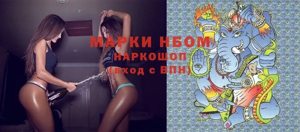 хмурый Аркадак