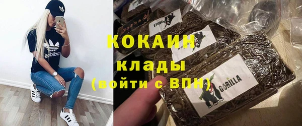 хмурый Аркадак