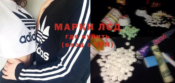 хмурый Аркадак