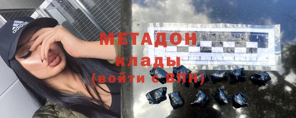 хмурый Аркадак