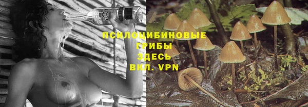 стаф Армянск