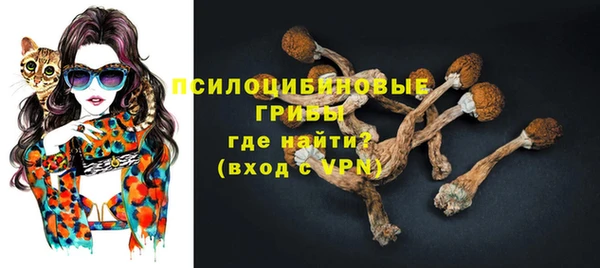 каннабис Арсеньев